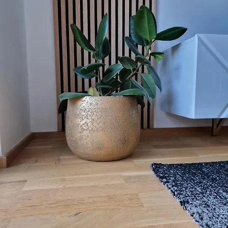 Ana Apartman *