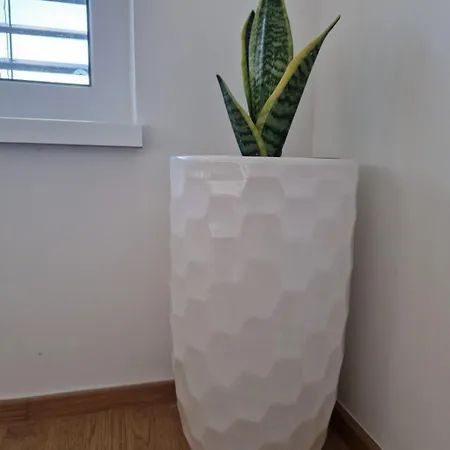 דירה Ana מריבור